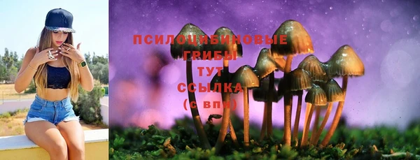 а пвп мука Вязники