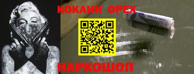 шишки Гай