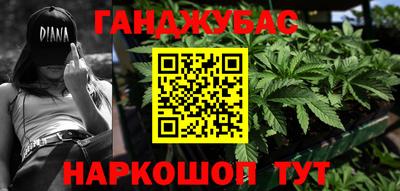 шишки Гай