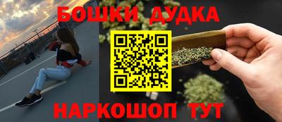 шишки Гай