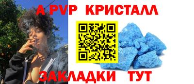 шишки Гай