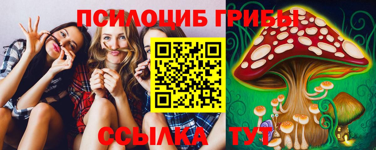 Дивногорск  Псилоцибиновые грибы мицелий  Галлюциногенные грибы ЛСД  Вход с VPN 