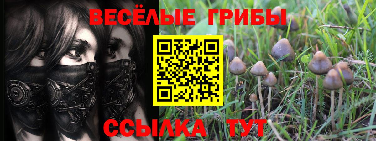 Галлюциногенные грибы Magic Shrooms Дивногорск